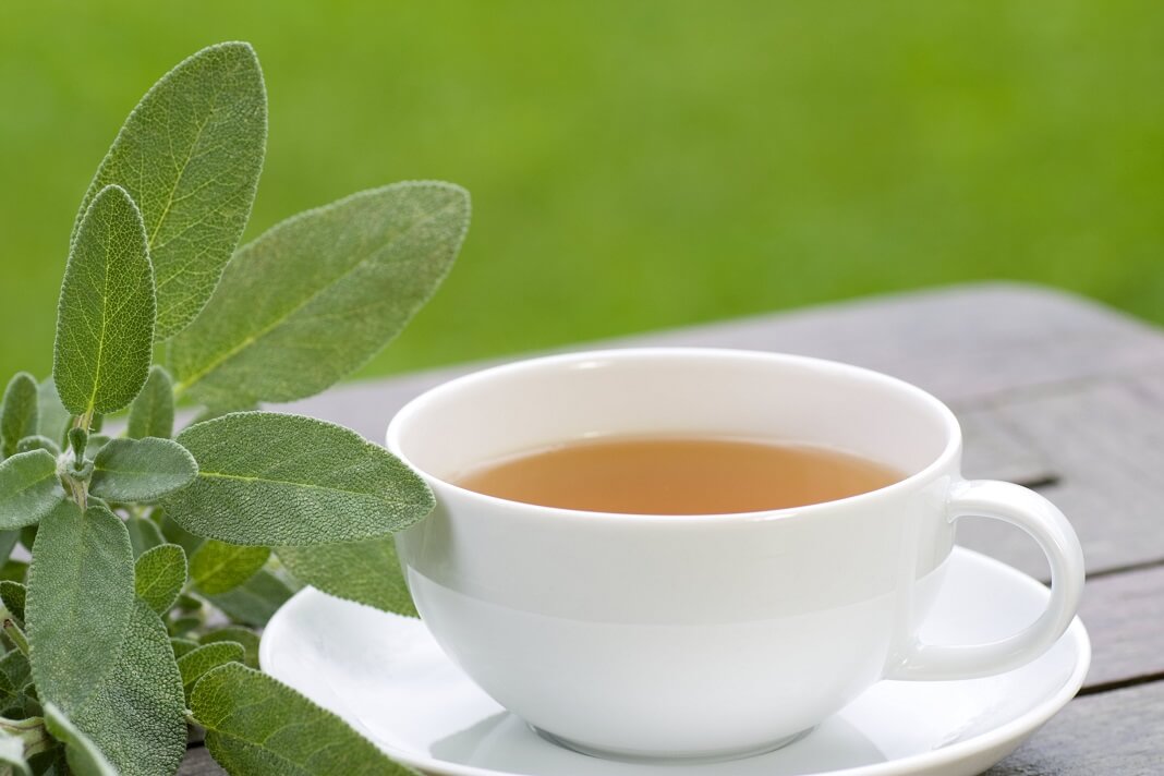 9 Emerging Benefits and Uses of Sage Tea